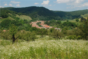 paesaggio Transilvania